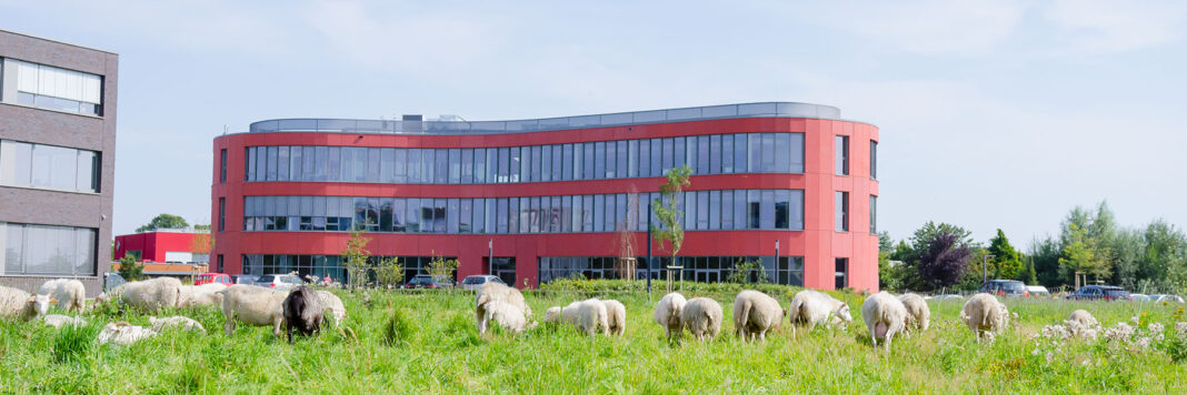 d-velop-jobs-und-karriere-1