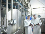 Workers inspecting goat yogurt in dairy