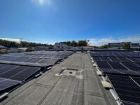 Grüne Transformation: dtm group setzt auf erneuerbaren Strom